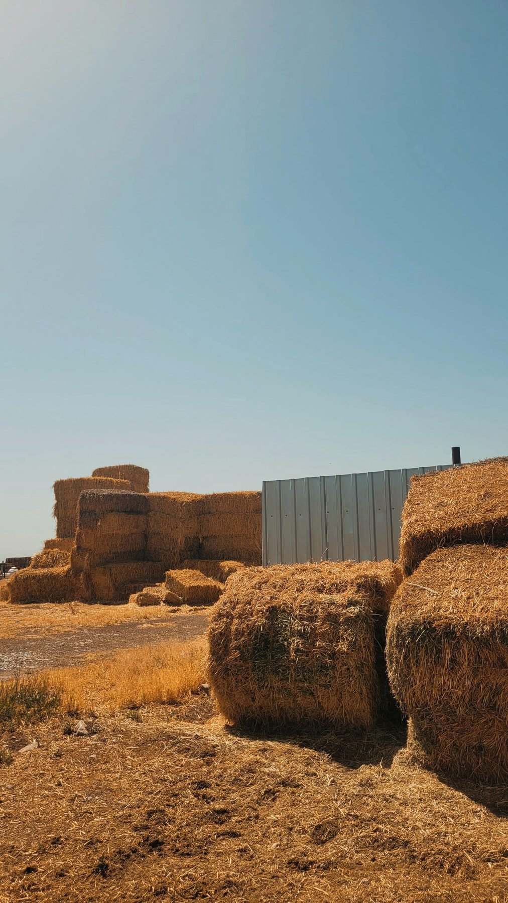 Round hay bales stacked beside a metal shed.