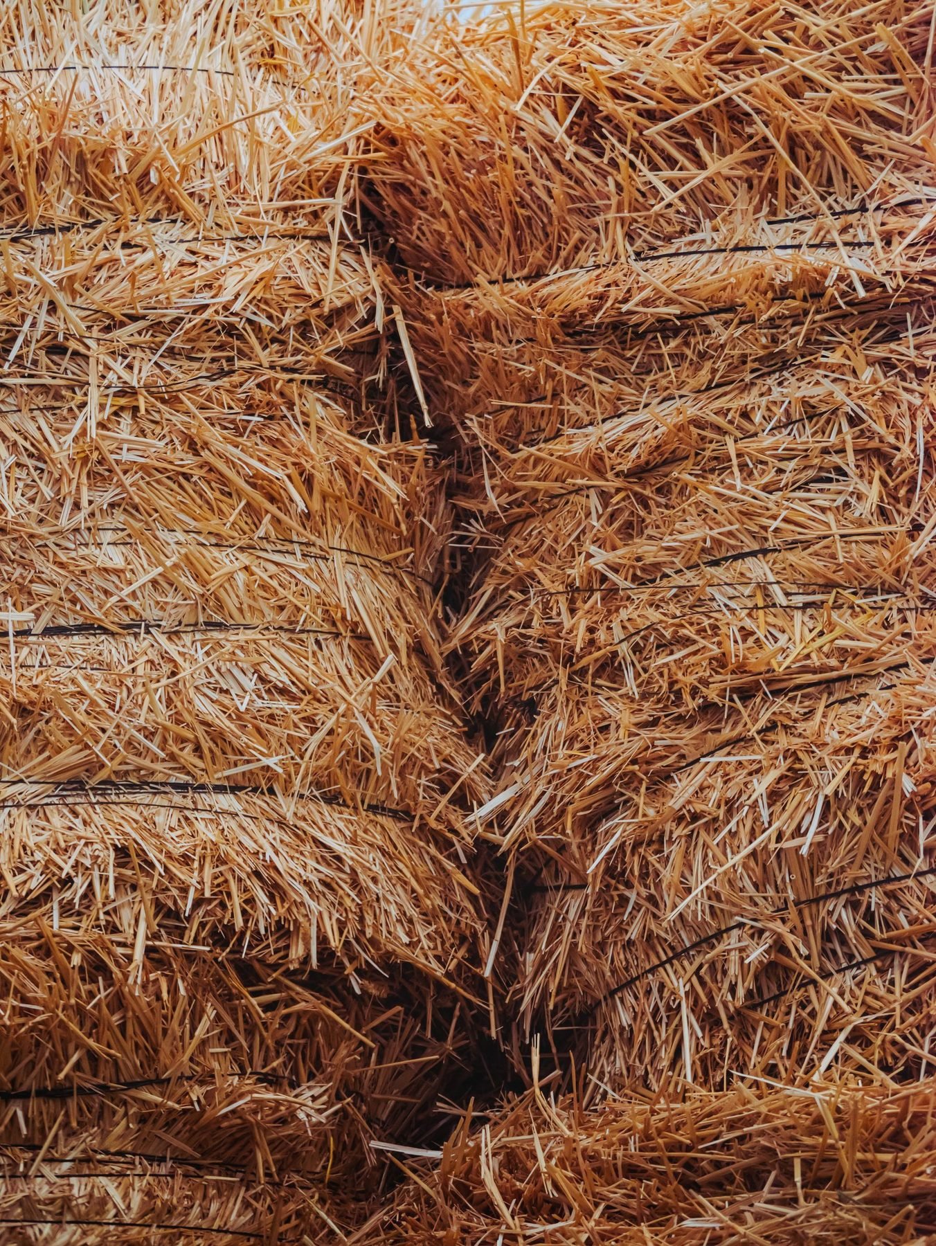 Close view of the end of a cured straw bale.